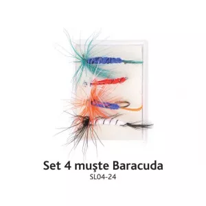 Baracuda Set 4 muste SL04- 24 (cutie)