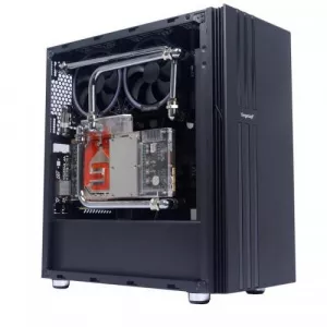 Segotep   Fenix NF 