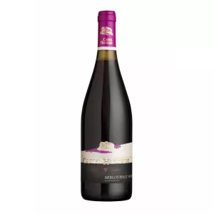 Cramele Recas Castel Huniade Merlot/Pinot Noir