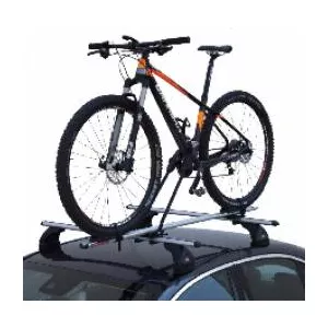 Fabbri BICI 300