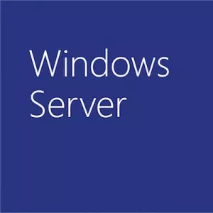 Microsoft WinSvrSTDCore 2019 SNGL OLP 16Lic NL CoreLic