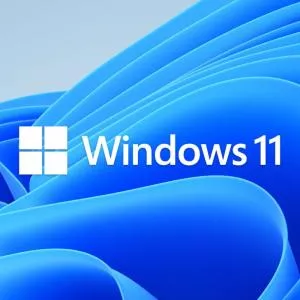 Windows 10 Pro Licence, 64-Bit, DVD-ROM, English, FQC-08929 : Buy Online at  Best Price in KSA - Souq is now : Software