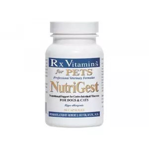Rx Vitamins NutriGest 90 capsule