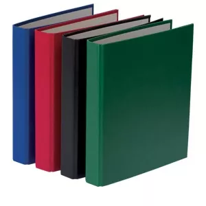 Herlitz Caiet mecanic A5 2 inele verde 536505/1