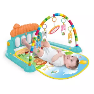 Noriel Salteluta muzicala