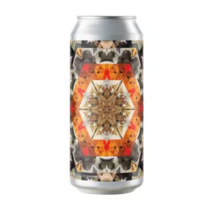 Hop Hooligans Catleidoscope 2