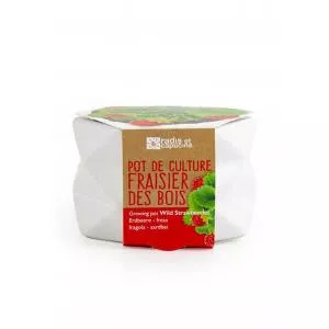 Radis et Capucine Kit complet pentru plantat - Capsuni
