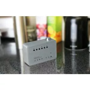 Gingko Radio cu ceas LED