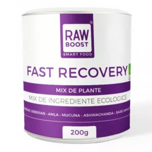 RawBoost Fast recovery mix de plante, bio, 200 g