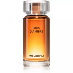 Karl Lagerfeld Bois d Ambre EDP 100 ml