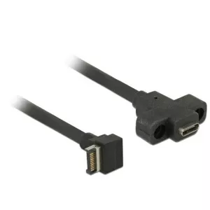 Delock Cable USB 3.1 Gen 2 key A 20 pin male > USB 3.1 Gen 2 USB Type-C™ female panel-mount 45 cm 85326
