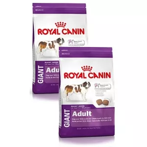 Royal Canin Pachet Economic Giant Adult 2x15kg