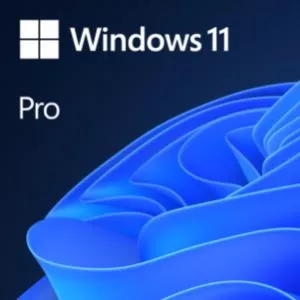 Microsoft  Windows 11 Professional N, 64bit, All Languages
