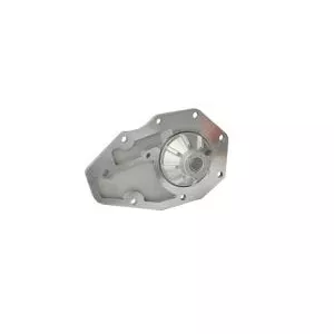 ASAM Capac pompa apa Dacia 1310 1410 1600 6001538733