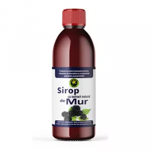 Hypericum Sirop de mur cu zahar, 500 ml
