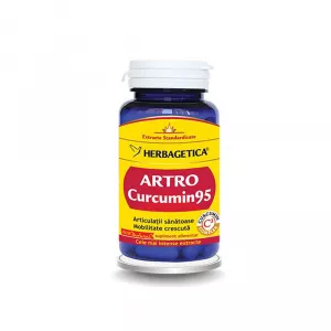 Herbagetica Arto Curcumin 95, 60 cps