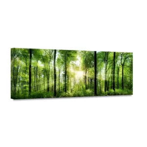 Styler Tablou Glasspik Nature Sunlight, 50 x 125 cm