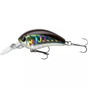 Daiwa TN Baby Crank 35F 3.5cm 3.5g Multicolor