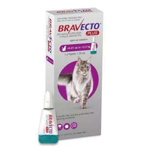 MSD Bravecto Plus Spot On Cat 500 mg (6.25 - 12.5 kg), 1 pipeta
