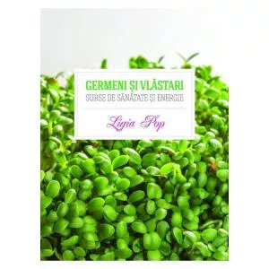 Curtea Veche GERMENI SI VLASTARI