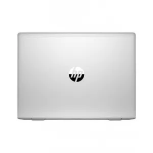 HP ProBook 445 G7   (2D272EA)