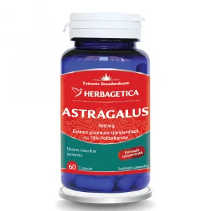 Herbagetica Astragalus 500mg cu 70% polizaharide, 60 cps