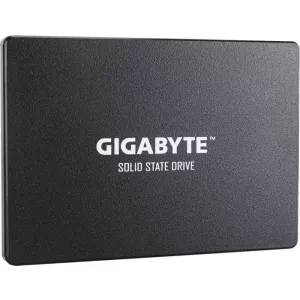 Gigabyte 256GB GP-GSTFS31256GTND