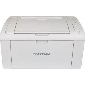 Pantum P2509
