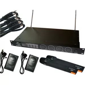 Azusa Microfon STATIE 4 MICROFOANE LS 888 (2+2)