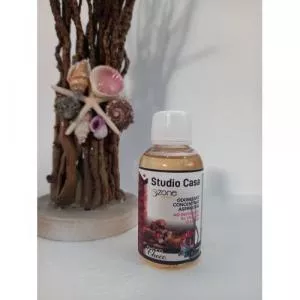 Studio Casa Odorizant Concentrat pentru Aspirator Choco 100 ml