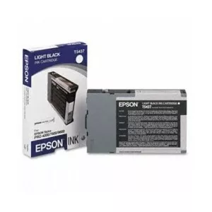 Epson C13T543700 Light Black