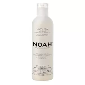 NOAH Masca Naturala Anti-Yellow cu Extract de Affine 2.6 250ml