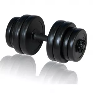 vidaXL Ganteră 15,5 kg