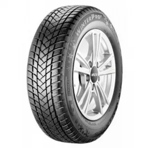 GT Radial Winter Pro 2 195/55 R16 91H