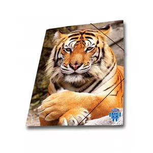 Skag Mapa AR carton cu elastic, 25 x 35 wild animals, tigru