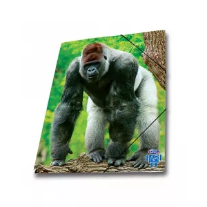 Skag Mapa AR carton cu elastic, 25 x 35 239295 gorila