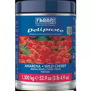 Fabbri Pasta aromatizanta Amarena Delipaste, 1.5 kg