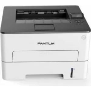 Pantum P3010DW