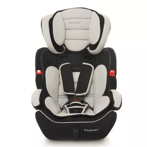 Krausman Safe Grey