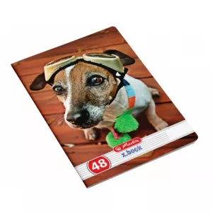 Herlitz Caiet A5, 48 file, 70g/mp, dictando, Cool Dog HZ9480640