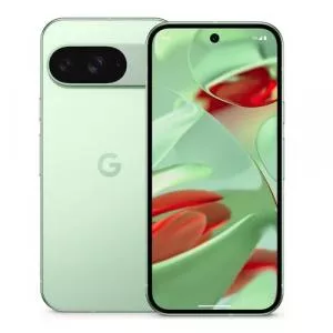 Google Pixel 9 256GB Wintergreen