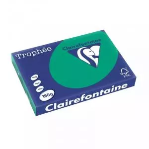 Clairefontaine Carton color Intens A3, Verde inchis