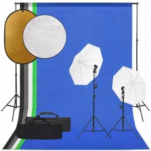 vidaXL Set studio foto cu set de lumini, fundal și reflector 3094666