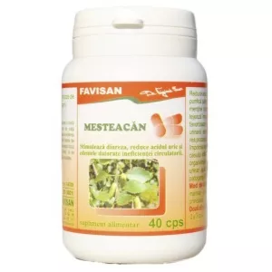 Favisan Mesteacan 40 capsule