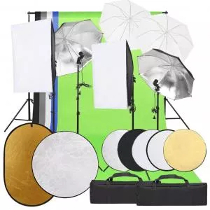 vidaXL Kit studio foto cu set de lumini, fundal și reflector 3094734