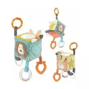 Fehn Cub din plus cu activitati - Funky