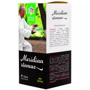 Steaua Divina TINCTURA MERIDIAN STOMAC 100ml
