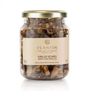 Plantin Galbiori (Girolles) Uscati, 50g -