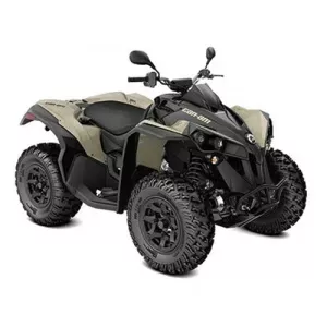 Can-Am Renegade DPS 650 T 2021