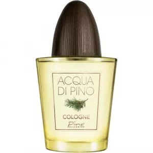 Pino Silvestre Acqua Di Pino Concentree Apa de colonie 125 ml